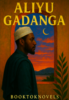 Aliyu Gadanga Book 1 Complete Hausa Novel